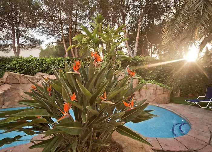 Bordoy Cosmopolitan 4* 플라야 데 팔마