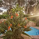 Bordoy Cosmopolitan 4* Playa de Palma (Mallorca)